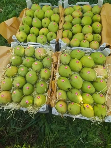 تصویر 2