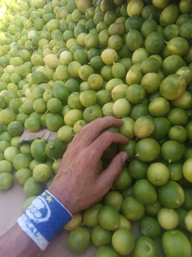 تصویر 2