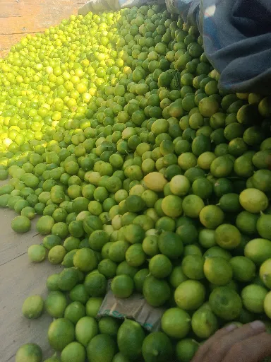 تصویر 3