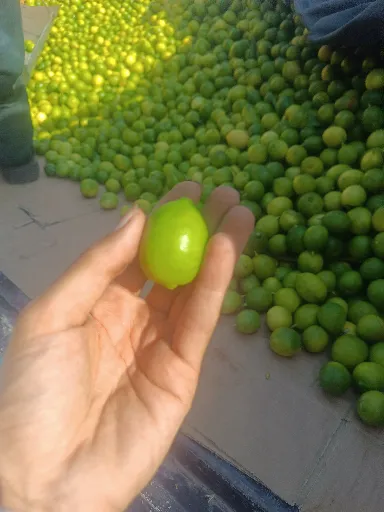 تصویر 4