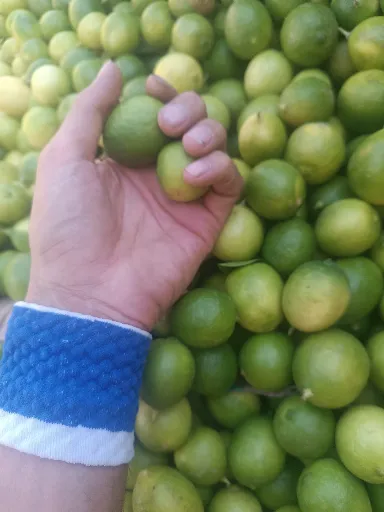 تصویر فروش لیمو برزیلی