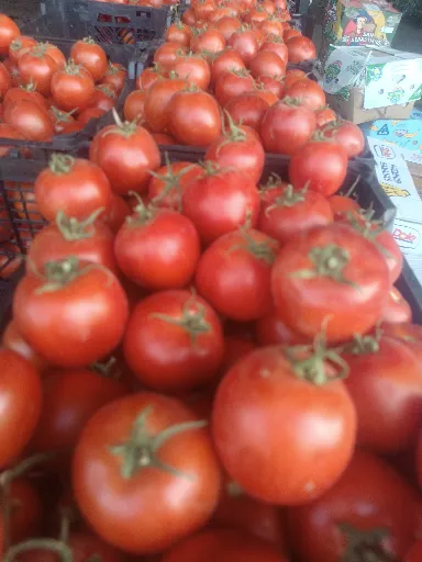 تصویر 3