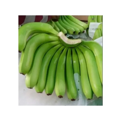 خرید موز سبز ارزان