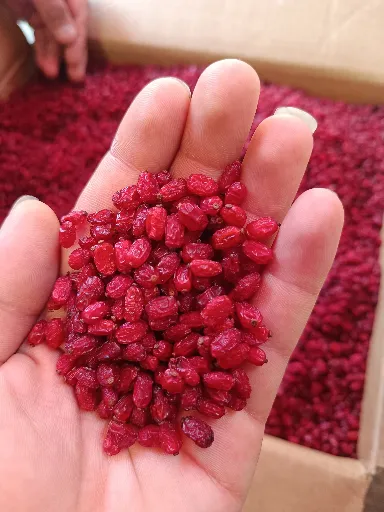 تصویر 3