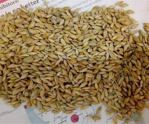 ارمغان تجارت کیمیا 