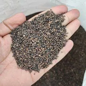 قیمت کنجد سیاه محلی