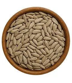 مغز تخمه چینی ارزان