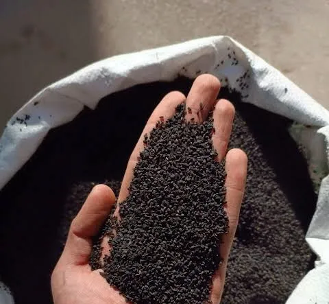 هندی سیاهدانه عمده
