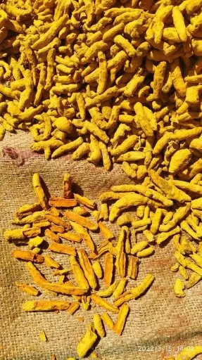 زردچوبه قلم پاکستانی